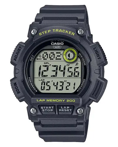 Casio Collection WS-2100H-8A