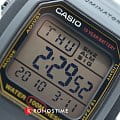 Casio Casio Collection W-800HG-9AVDF (W-800HG-9A), illuminator япония мужские часы на браслете пластик боковой вид