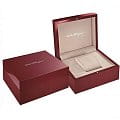 Оригинальные часы Salvatore Ferragamo Salvatore Ferragamo Gancini SFDO00419 кварцевые калибр механизма  общий вид
