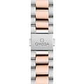 Omega Omega Seamaster Aqua Terra 220.20.34.20.59.001, seamaster швейцария женские часы на браслете нержавеющая сталь + золото 18к боковой вид