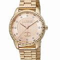 Just Cavalli Just Cavalli Regali JC1L176M0075_SET  JC1L176M0075_SET кварцевые женские часы  золотой циферблат, браслет нержавеющая сталь с pvd-покрытием — вид спереди