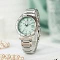 Оригинальные часы Citizen Citizen Eco-Drive FE6170-88L кварцевые калибр механизма citizen j810 общий вид