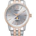 Citizen Citizen Basic Moonphase AK5006-58A  AK5006-58A кварцевые мужские часы  серебристый циферблат, браслет нержавеющая сталь с ip-покрытием — вид спереди