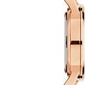 Оригинальные часы Daniel Wellington Daniel Wellington Iconic Link DW00100213 кварцевые калибр механизма  общий вид
