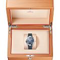 Omega Omega Seamaster Aqua Terra 220.12.41.21.03.002 seamaster швейцарские мужские часы на браслете каучук боковой вид