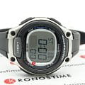 Оригинальные часы Casio Casio Collection LW-203-1AVDF (LW-203-1A) кварцевые калибр механизма  общий вид